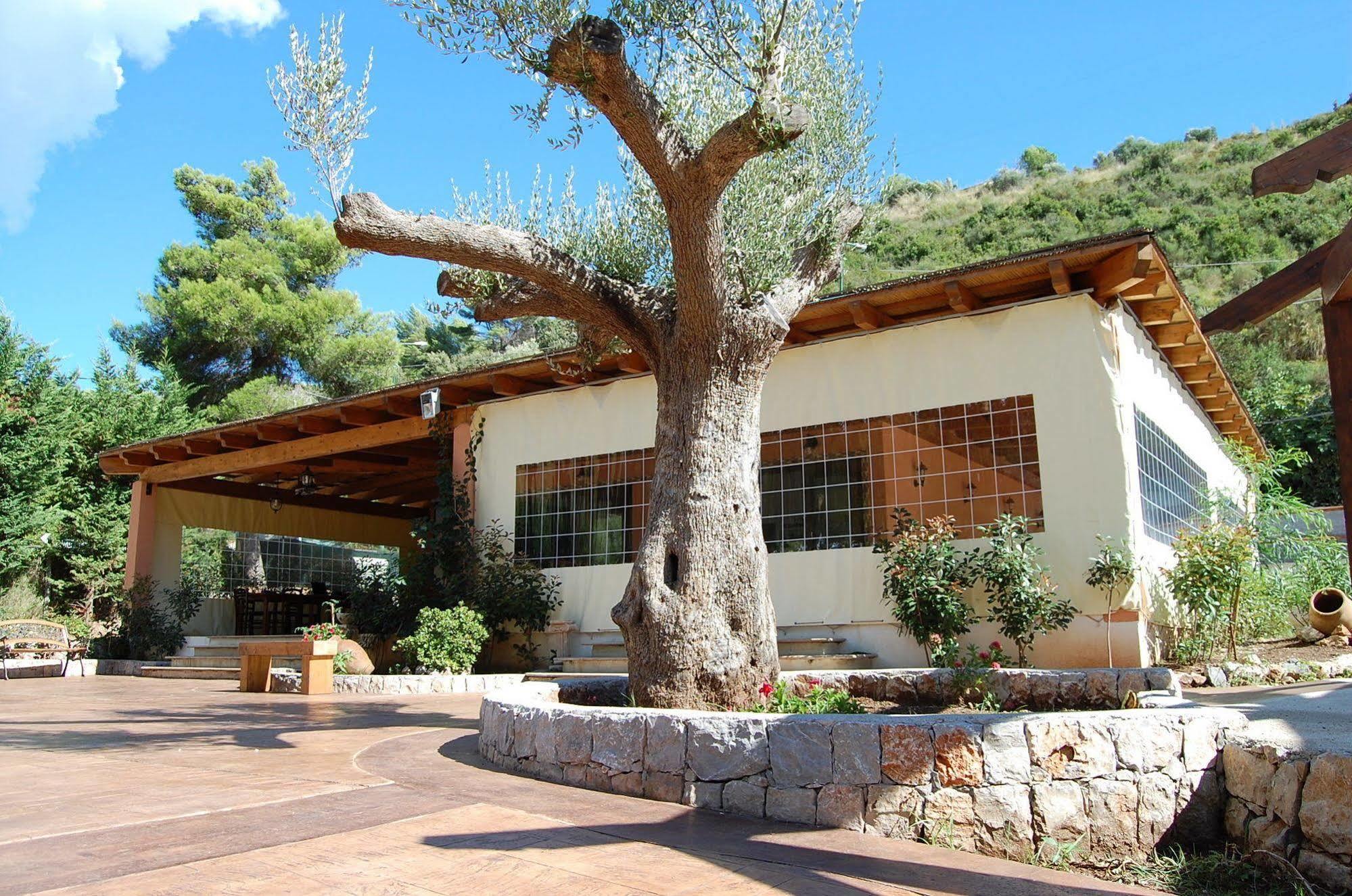 Family Resort Cala Di Luna Marina di Camerota Eksteriør bilde